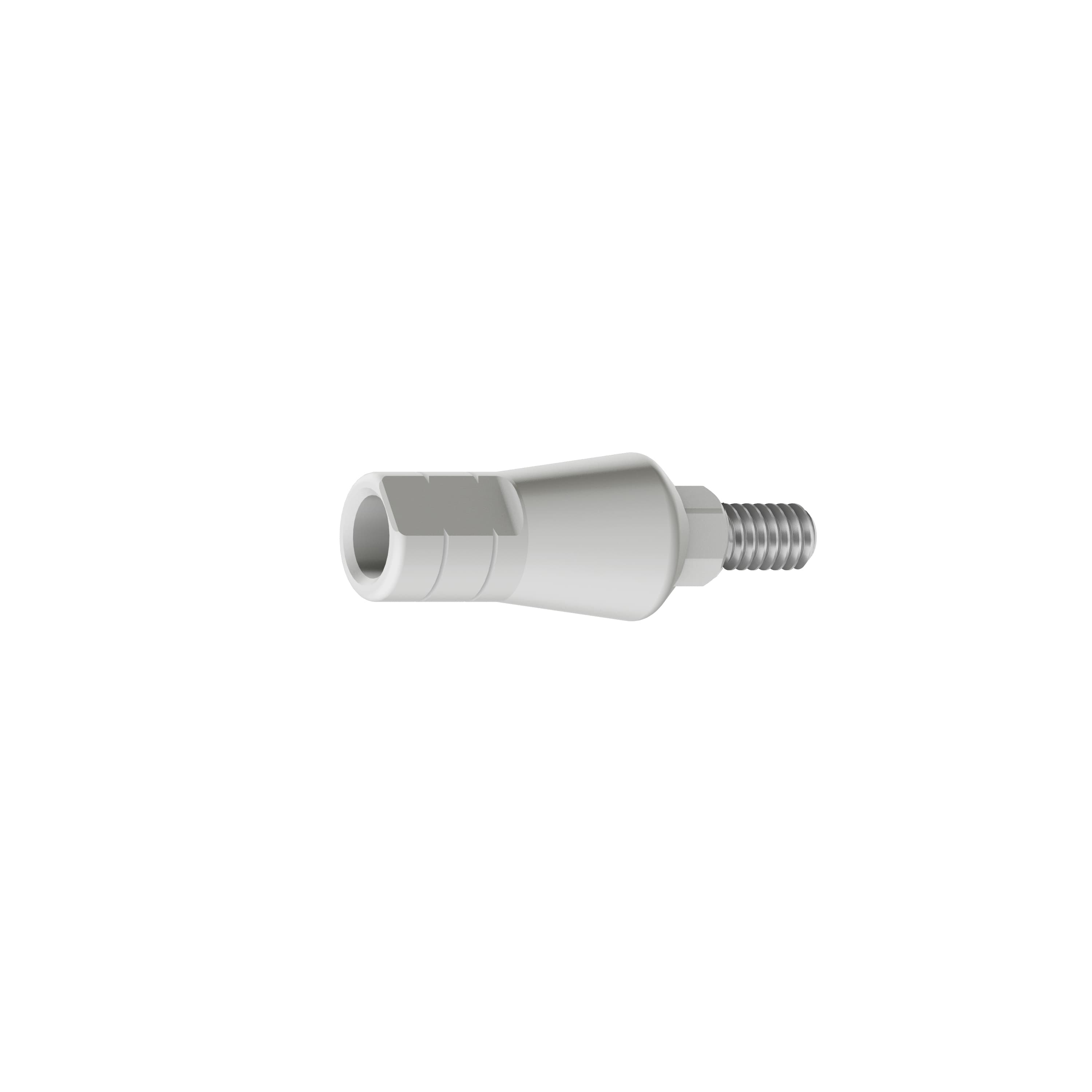 RS Engaging Plastic Casting Standard Abutment